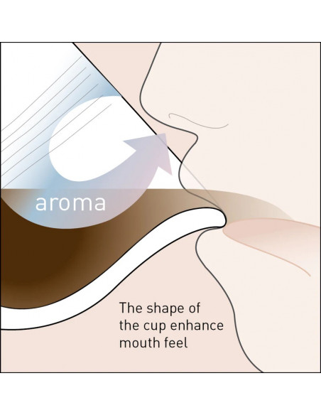 #5930 embossed tasting cups